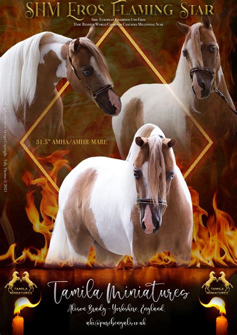 MARES