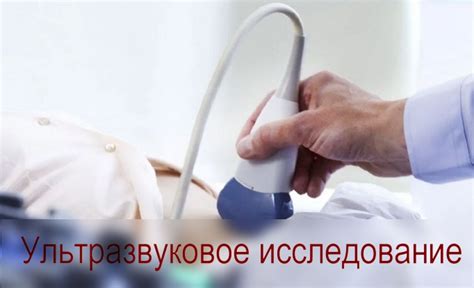УЗД органов малого таза