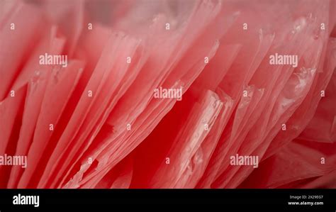 macro shot   pack  plastic bags concept  microplastics