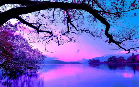 Blue Pink Sunset Wallpapers - Top Free Blue Pink Sunset Backgrounds ...