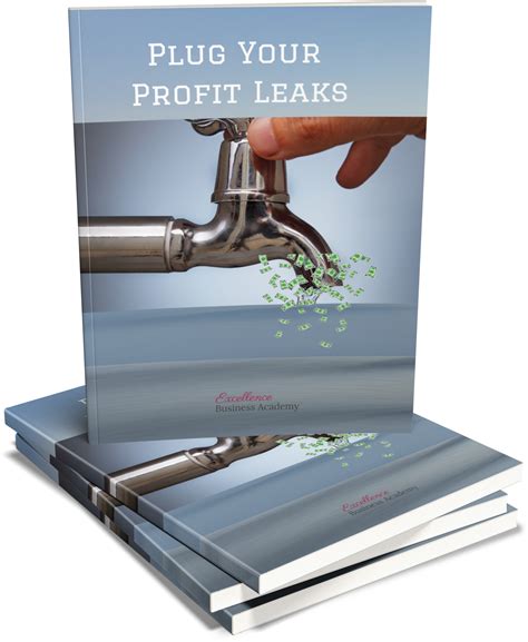 Plug Your Profit Leaks - The Strategic Marketing Group