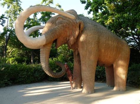 A mammoth in Ciutadella park in Barcelona - Crazy sexy fun traveler - travel blog about ...