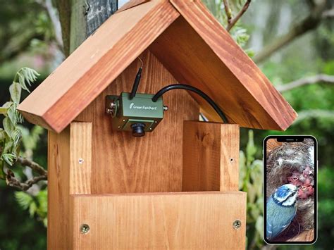 Garden Wildlife Cameras | Green Feathers
