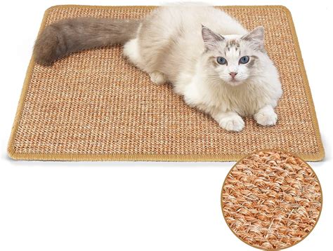 The 16 Best Cat Scratching Posts & Scratchers To Satisfy Natural Instincts