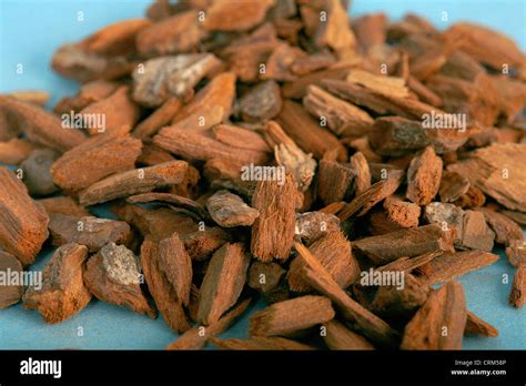 cinchona bark includes alkaloids   closely related  quinine