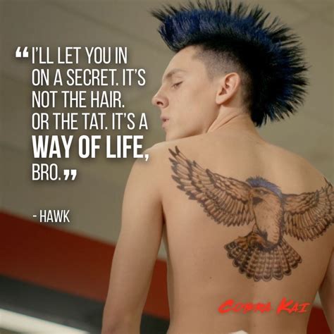 from the Facebook page - Hawk! : cobrakai