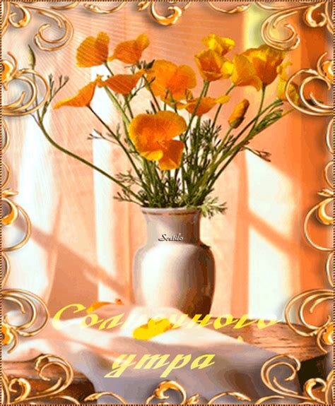 Мир авторской анимации gif | Bellissimi fiori, Fiori