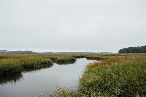 NJDEP | Cheesequake State Park | New Jersey State Park Service