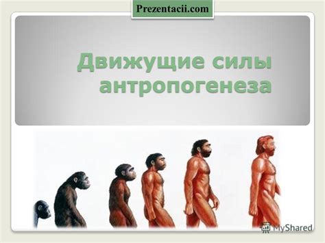 Презентация на тему: "Движущие силы антропогенеза Prezentacii.com ...
