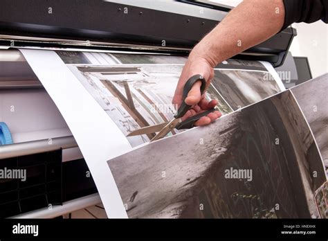 professional man hand cutting   scissors pictures printed