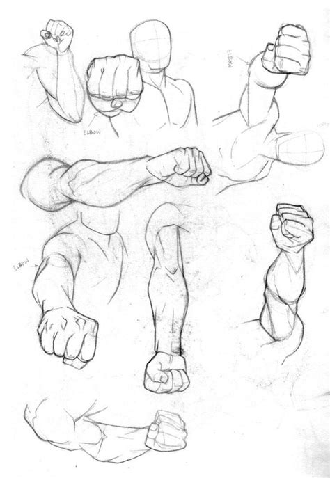 Fist Drawing Reference and Sketches for Artists