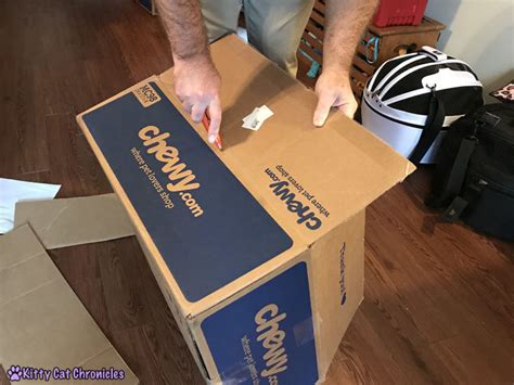 How to Make a Cardboard Box Fort for Your Cat - Kitty Cat Chronicles