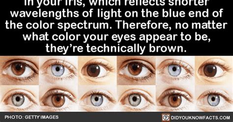 8 Really Bizarre, Perspective-Altering Facts