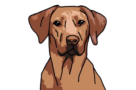 Ridgeback Doodle | atelier-yuwa.ciao.jp