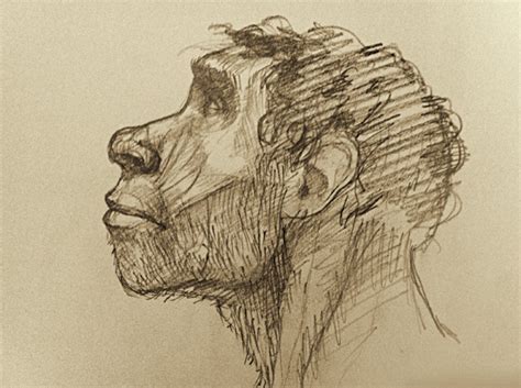 Homínidos :: Behance