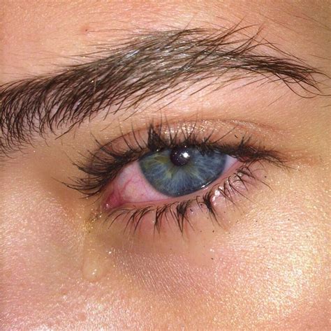 красный глаз Eyes, Quick, Cat Eyes