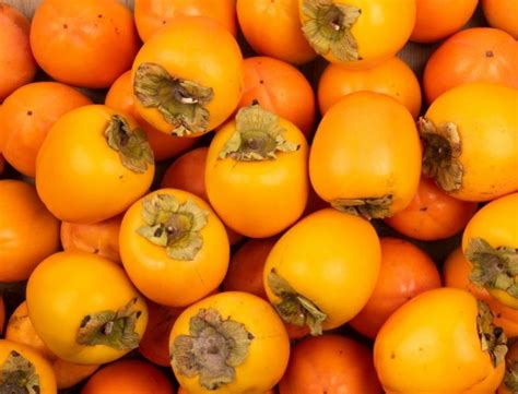 Le kaki, tout ce qu'il faut savoir - Mon Marché