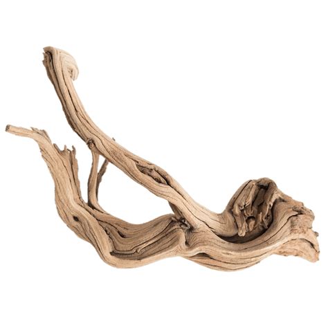 Driftwood 9