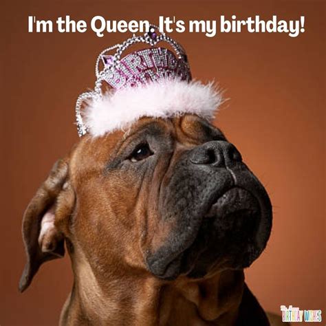30 Funny Happy Birthday Meme for Her (with Images)