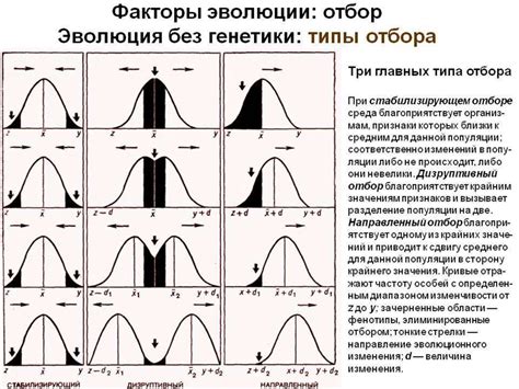 Популяционная генетика (генетика популяций) - презентация онлайн