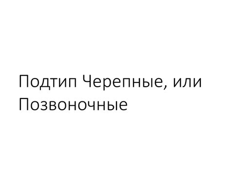 Тип хордовые - презентация онлайн