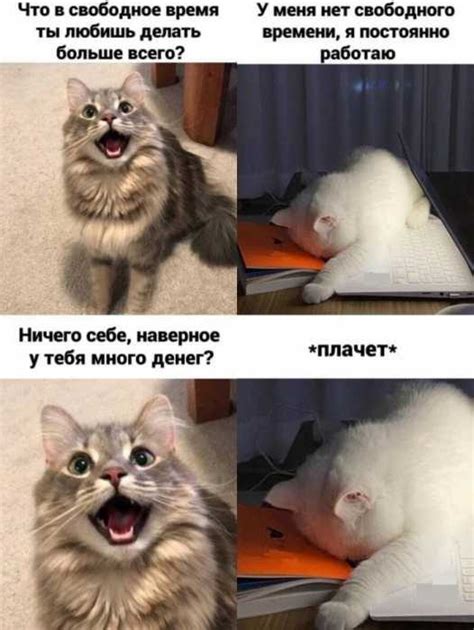 Весёлые мемы с котами / Приколы