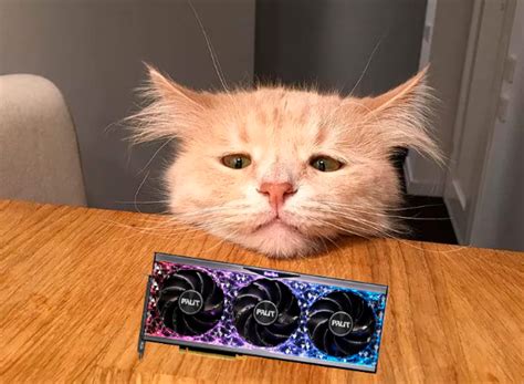 Почему флагманы NVIDIA не дешевеют – лучшие видеокарты для зажиточных ...