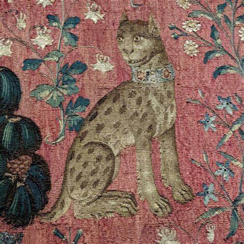 Mongolian cat : r/MedievalCats