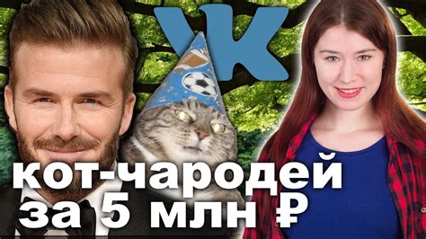 Кот-чародей ценой 5 млн ₽ - YouTube