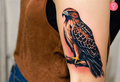 8 Majestic Hawk Tattoo Ideas For Wildlife Warriors