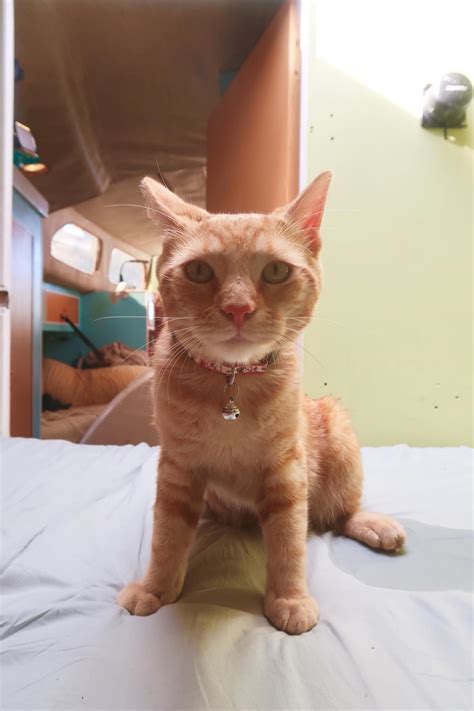 Sailing Life Day 44: Our Day in Provo, Turks and Caicos : Cleared In