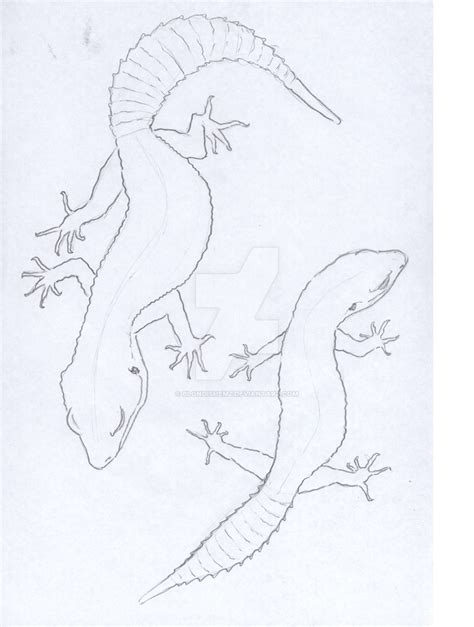 Gecko sketch 1 by blondishemz on DeviantArt