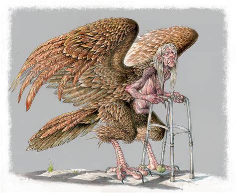 Harpy by megamoth on DeviantArt