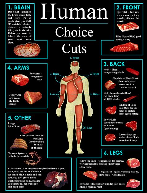 Human Cuts of Meat (Infographic) | Pleated Jeans