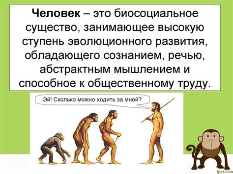 Положение человека в системе животного мира - презентация онлайн