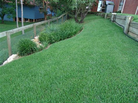 Empire Zoysia Grass 2 – Lawn Block Turf Drive Thru