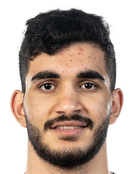 mohammad amini players basketnewscom