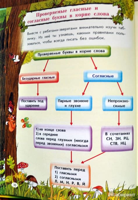 Книга: Все правила русского языка для детей - Мария Фетисова. Купить ...