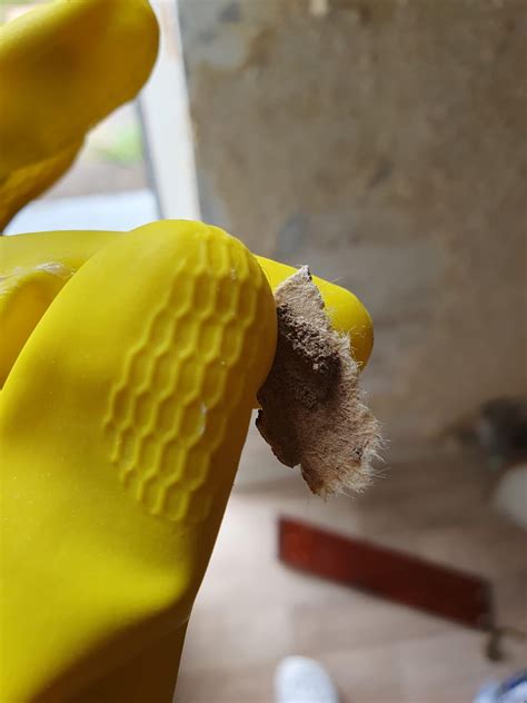 asbestos   woodchip paper rasbestoshelp