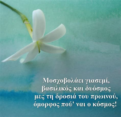 Η ζωή είναι πάντα άνοιξη... Όλα τα λουλούδια ανοίγουν για όλους!!!