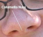 Things You Didn't Know Have Names. - Neatorama