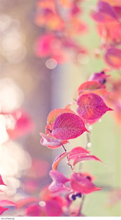 iphone girly wallpapers wallpaper cave