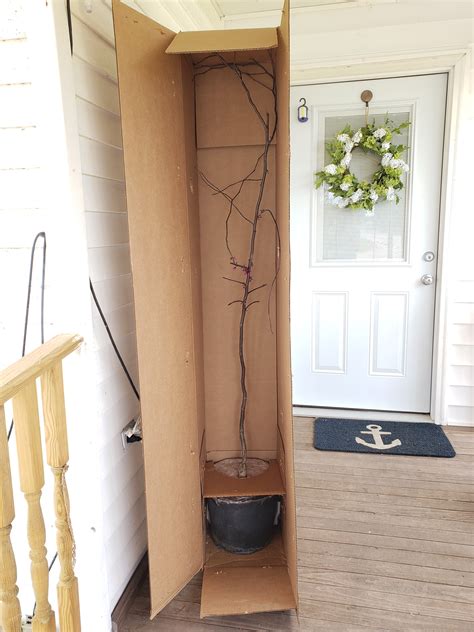 flamethrower tree 8