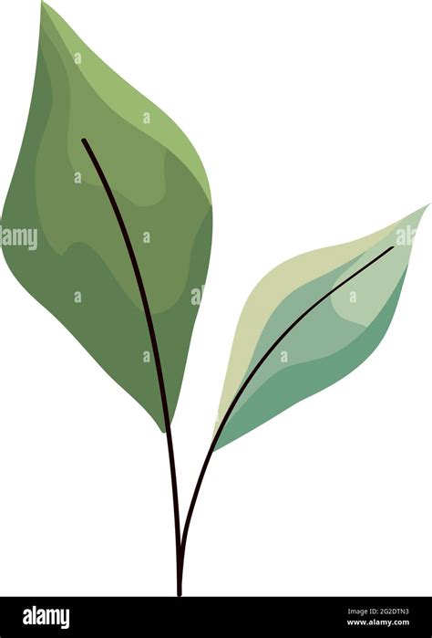 leaves icon stock vector image art alamy