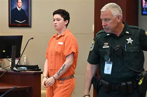 Judge Almost Doubles Bond on Gabriella Alo, Defendant in Brazen Flagler ...
