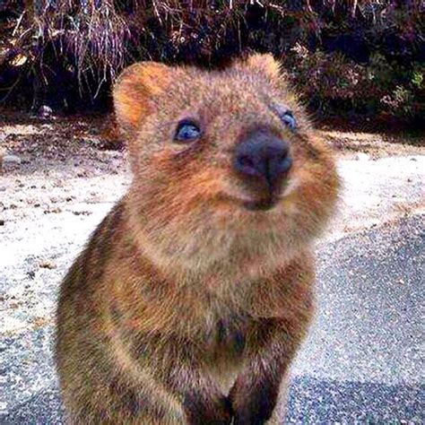 algrjxegrprkurfruxrkijudwzoohxcys   cxffffff  rj