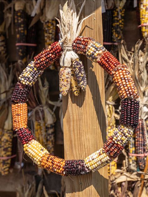 Corn Cob Wreath: How To Make Indian Corn Wreaths - IMP WORLD