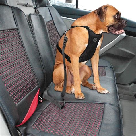 Dog Seat Harness & Belt – Red - Dog Seat Belts Australia