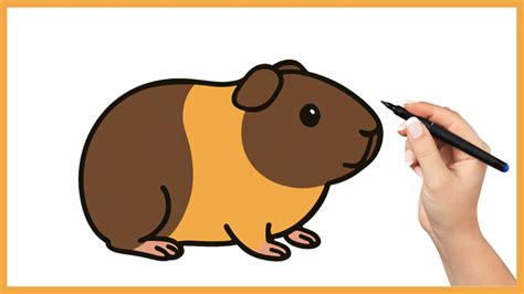 Apprenez à dessiner un cochon d'Inde en quelques étapes simples