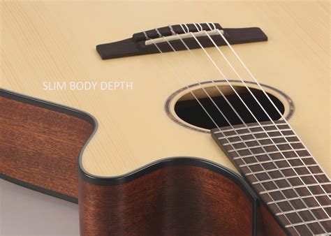 Cort CEC3 Classic Series Nylon Strings Solid Top Electric Classical ...